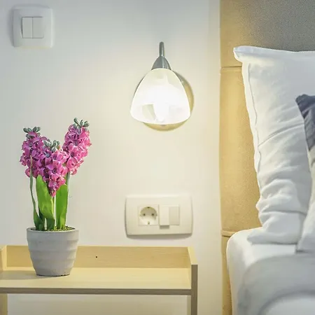 Apartments Vesna Vodice Vodice