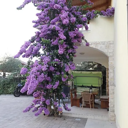 Apartments Vesna Vodice