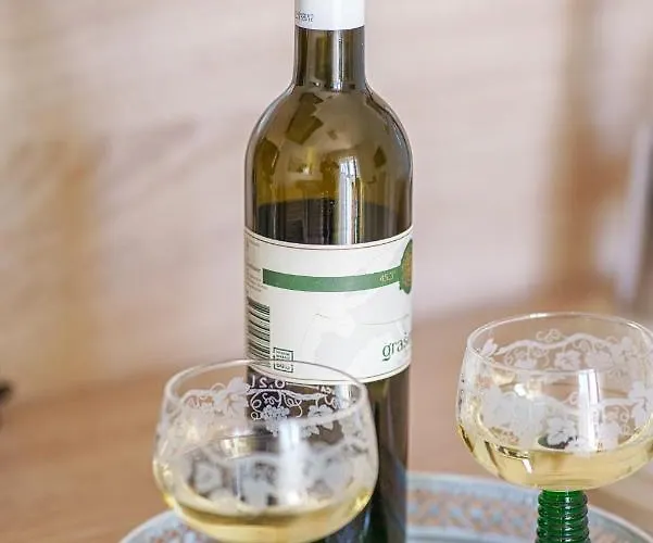 Vesna Βόντιτσε